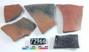 Egyptian Badarian Potsherds UC72966 - copyright of the Petrie Museum of Egyptian Archaeology, UCL